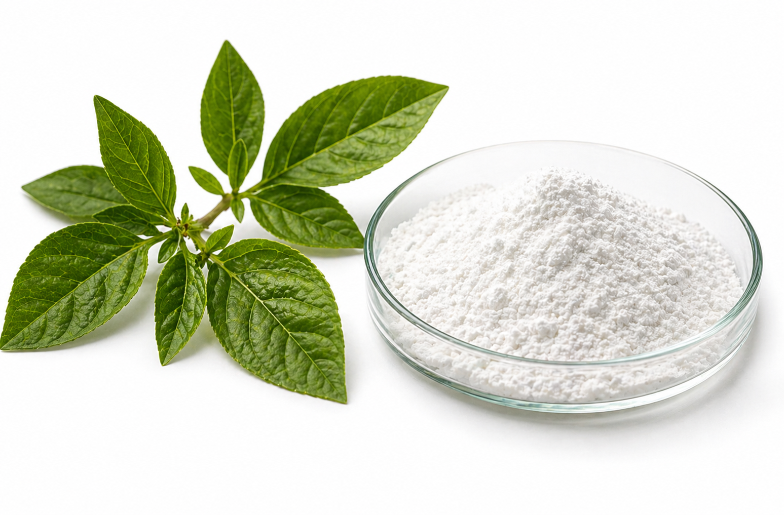 Beta-Sitosterol extract